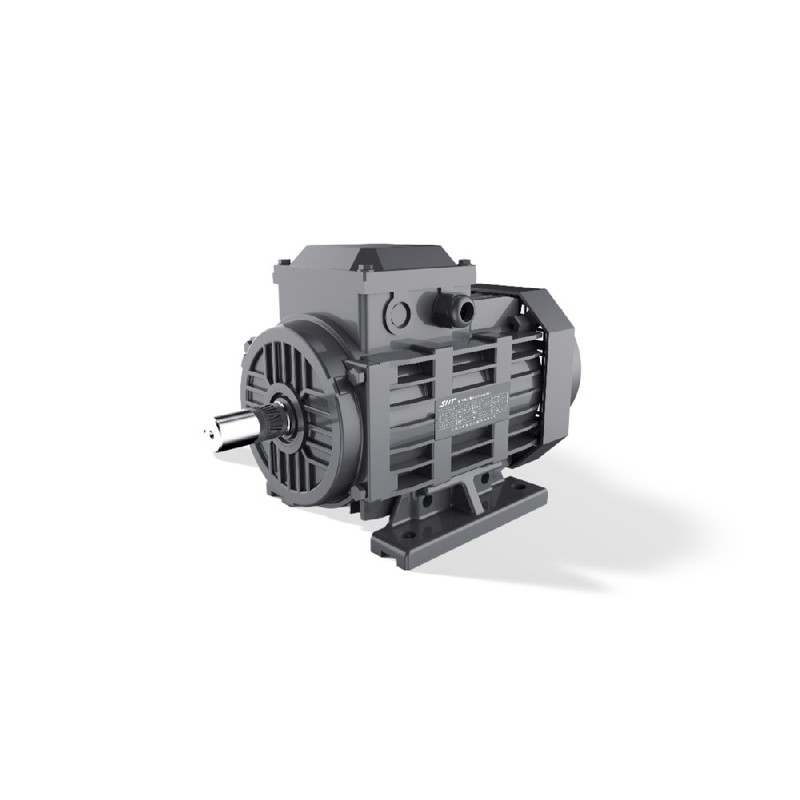 GESHI FTYP LSPM Motor 0.55-15kW IE4 Netzanlauf IP55