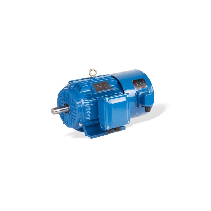 GESHI YVF2 Frequenzumrichter-tauglicher Motor 0.55-315kW IP54